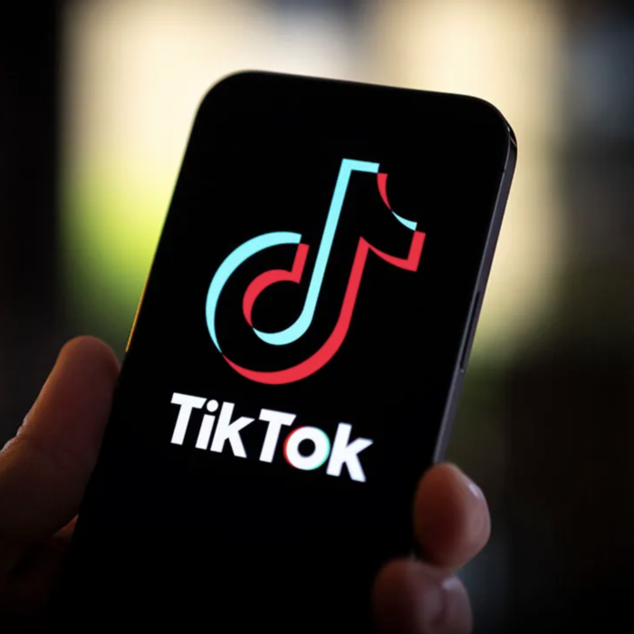 TikTok Followers Growth